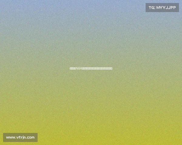 深入解析NBA战术体系与球员配合的多维度运作与实际应用